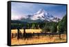 Mt. Hood X-Ike Leahy-Framed Stretched Canvas