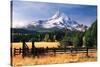 Mt. Hood X-Ike Leahy-Stretched Canvas