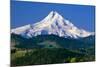 Mt. Hood XI-Ike Leahy-Mounted Photographic Print