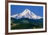 Mt. Hood XI-Ike Leahy-Framed Photographic Print