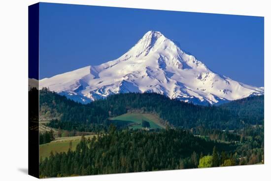 Mt. Hood XI-Ike Leahy-Stretched Canvas