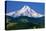 Mt. Hood XI-Ike Leahy-Stretched Canvas