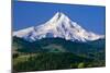 Mt. Hood XI-Ike Leahy-Mounted Photographic Print