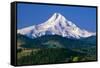 Mt. Hood XI-Ike Leahy-Framed Stretched Canvas