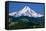 Mt. Hood XI-Ike Leahy-Framed Stretched Canvas