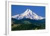 Mt. Hood XI-Ike Leahy-Framed Photographic Print