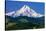 Mt. Hood XI-Ike Leahy-Stretched Canvas