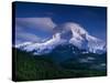 Mt. Hood XII-Ike Leahy-Stretched Canvas