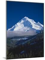 Mt. Hood XIII-Ike Leahy-Mounted Photographic Print