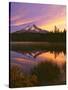 Mt. Hood XVI-Ike Leahy-Stretched Canvas