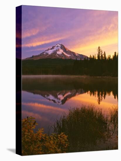 Mt. Hood XVI-Ike Leahy-Stretched Canvas