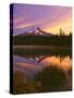 Mt. Hood XVI-Ike Leahy-Stretched Canvas