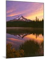 Mt. Hood XVI-Ike Leahy-Mounted Photographic Print