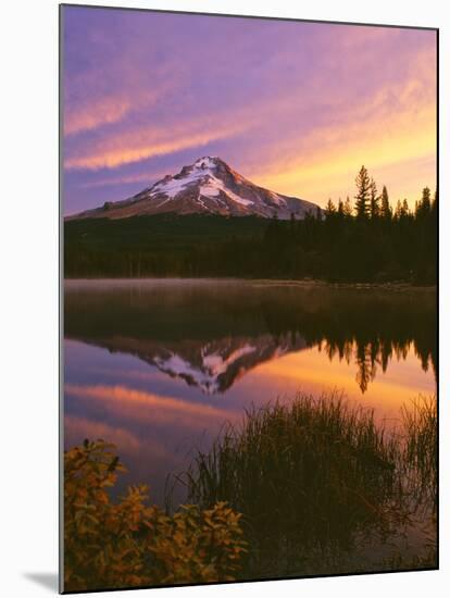 Mt. Hood XVI-Ike Leahy-Mounted Photographic Print