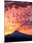 Mt. Hood XXII-Ike Leahy-Mounted Photographic Print