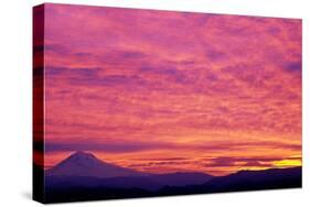 Mt. Hood XXV-Ike Leahy-Stretched Canvas