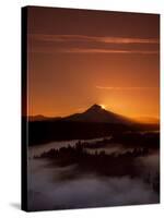 Mt. Hood XXVI-Ike Leahy-Stretched Canvas