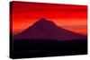 Mt. Hood XXVIII-Ike Leahy-Stretched Canvas