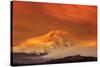 Mt. Hood XXXII-Ike Leahy-Stretched Canvas