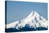 Mt. Hood-Tashka-Stretched Canvas