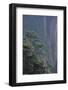Mt. Huangshan Pine Trees-DLILLC-Framed Photographic Print