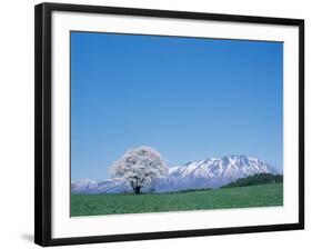 Mt. Iwate and a Cherry Tree-null-Framed Photographic Print