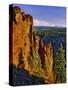 Mt. Jefferson Viewed from Badger Creek Wilderness-Steve Terrill-Stretched Canvas