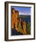 Mt. Jefferson Viewed from Badger Creek Wilderness-Steve Terrill-Framed Photographic Print