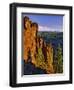 Mt. Jefferson Viewed from Badger Creek Wilderness-Steve Terrill-Framed Photographic Print