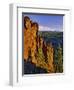 Mt. Jefferson Viewed from Badger Creek Wilderness-Steve Terrill-Framed Photographic Print