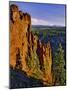 Mt. Jefferson Viewed from Badger Creek Wilderness-Steve Terrill-Mounted Photographic Print