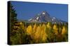 Mt Jefferson-Ike Leahy-Stretched Canvas