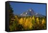 Mt Jefferson-Ike Leahy-Framed Stretched Canvas