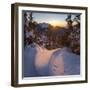 Mt. Jochberg near lake Walchensee, Mt. Herzogstand during winter in the Bavarian Alps. Germany-Martin Zwick-Framed Photographic Print