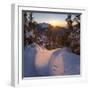 Mt. Jochberg near lake Walchensee, Mt. Herzogstand during winter in the Bavarian Alps. Germany-Martin Zwick-Framed Photographic Print