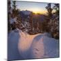 Mt. Jochberg near lake Walchensee, Mt. Herzogstand during winter in the Bavarian Alps. Germany-Martin Zwick-Mounted Photographic Print