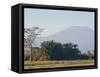 Mt. Kilimanjaro, Amboseli, Kenya, Africa-Robert Harding-Framed Stretched Canvas