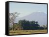 Mt. Kilimanjaro, Amboseli, Kenya, Africa-Robert Harding-Framed Stretched Canvas