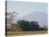 Mt. Kilimanjaro, Amboseli, Kenya, Africa-Robert Harding-Stretched Canvas