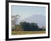 Mt. Kilimanjaro, Amboseli, Kenya, Africa-Robert Harding-Framed Photographic Print