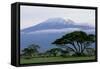 Mt Kilimanjaro in Tanzania-null-Framed Stretched Canvas