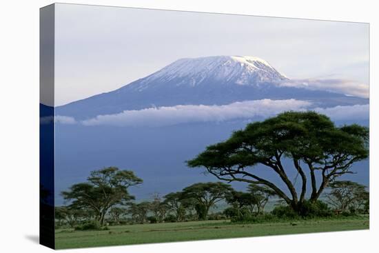Mt Kilimanjaro in Tanzania-null-Stretched Canvas