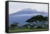 Mt Kilimanjaro in Tanzania-null-Framed Stretched Canvas