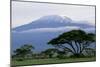Mt Kilimanjaro in Tanzania-null-Mounted Photographic Print
