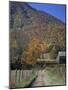 Mt. Lane-J.D. Mcfarlan-Mounted Photographic Print