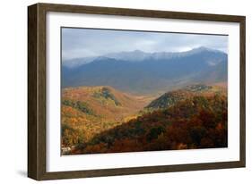 Mt LeConte above fall foliage, Smoky Mountains, Tennessee, USA-Anna Miller-Framed Photographic Print