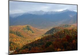 Mt LeConte above fall foliage, Smoky Mountains, Tennessee, USA-Anna Miller-Mounted Photographic Print