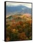 Mt LeConte above fall foliage, Smoky Mountains, Tennessee, USA-Anna Miller-Framed Stretched Canvas