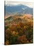 Mt LeConte above fall foliage, Smoky Mountains, Tennessee, USA-Anna Miller-Stretched Canvas