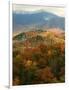 Mt LeConte above fall foliage, Smoky Mountains, Tennessee, USA-Anna Miller-Framed Photographic Print